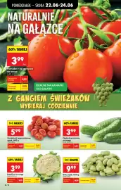 Biedronka gazetka tydzień 26 Strona 32