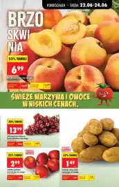 Biedronka gazetka tydzień 26 Strona 33