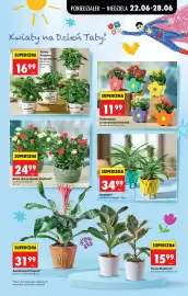 Biedronka gazetka tydzień 26 Strona 7