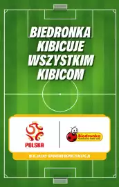 Biedronka gazetka tydzień 26 Strona 5