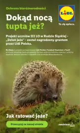 Lidl gazetka tydzień 27 Strona 53
