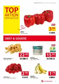 Transgourmet Flugblatt woche 27 Seite 11