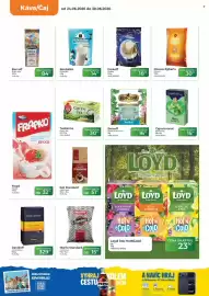 Tamda Foods leták týden 26 Strana 22