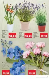 Catalog Kaufland săptămâna 26 Pagină 9