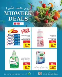 Ajman Market catalogue Page 10
