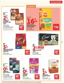 Catalogue Auchan Direct page 11