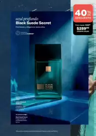 Catálogo Avon Página 60