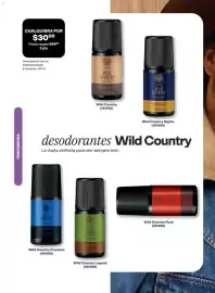 Catálogo Avon Página 67