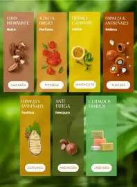 Catálogo Natura Página 102