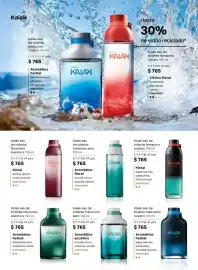 Catálogo Natura Página 29
