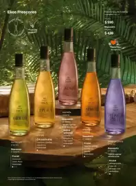 Catálogo Natura Página 38