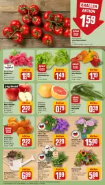 REWE City Prospekt woche 26 Seite 9