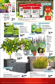 Hellweg Prospekt woche 26 Seite 13