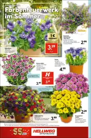 Hellweg Prospekt woche 26 Seite 14