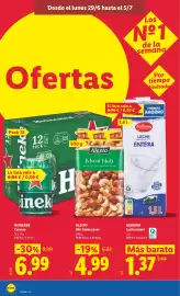 Catálogo Lidl semana 27 Página 14