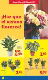 Catálogo Lidl semana 27 Página 44