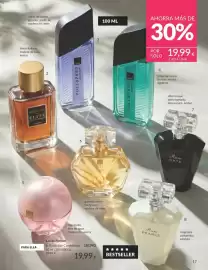Catálogo AVON Página 17