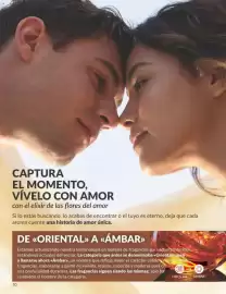 Catálogo AVON Página 70