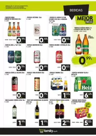 Catálogo Family Cash Página 17
