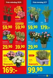 Lidl reklamblad vecka 27 Sida 20