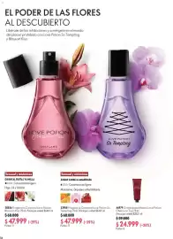 Catálogo Oriflame Página 56