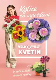 Kaufland leták týden 26 Strana 23