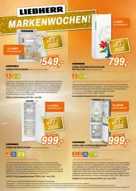 Expert Flugblatt Seite 2