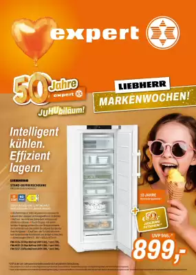 Expert (gültig bis 12-07)