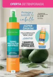 Catálogo Azzorti Página 55