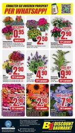 B1 Discount Baumarkt Prospekt woche 25 Seite 8