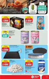 Auchan akciós újság | Szupermarket Oldal 15