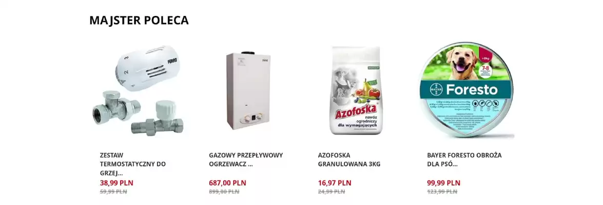 Majster (ważność do 28-06)