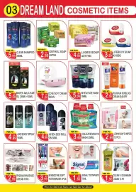 Dream Land Center catalogue Page 3