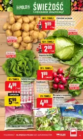 Polomarket gazetka tydzień 26 Strona 13