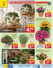 Netto Marken-Discount Prospekt woche 27 Seite 16