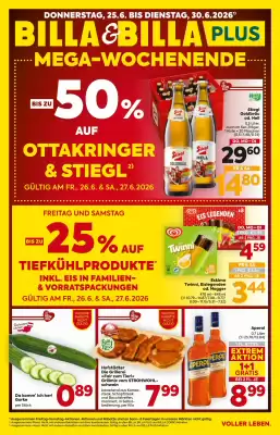 Billa Box (gültig bis 30-06)