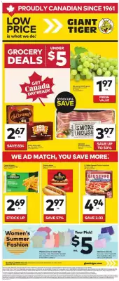 Giant Tiger flyer (valid until 1-07)