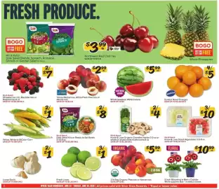 Winn Dixie weekly ad week 26 Page 2