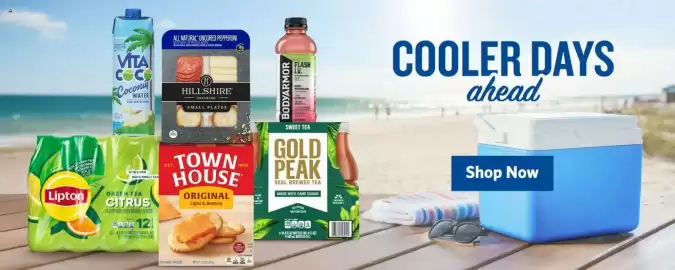 Food Lion weekly ad week 26 Page 10