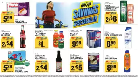 Food Lion weekly ad week 26 Page 17