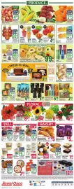 Jewel-Osco weekly ad week 26 Page 14
