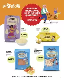 Volantino Coop Pagina 13