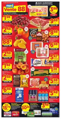 Maxi flyer