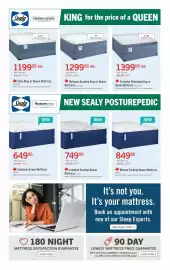 The Brick flyer Page 4