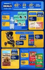 Folleto Walmart Página 13