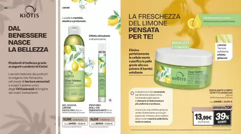 Catalogo Stanhome Pagina 41