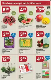 Rachelle-Bery Grocery flyer week 26 Page 3