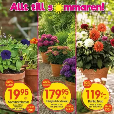 EKO (giltig till och med 28-06)