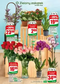 Dino gazetka tydzień 26 Strona 61