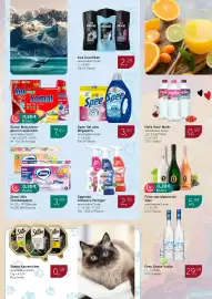 Dornseifer Prospekt woche 26 Seite 14